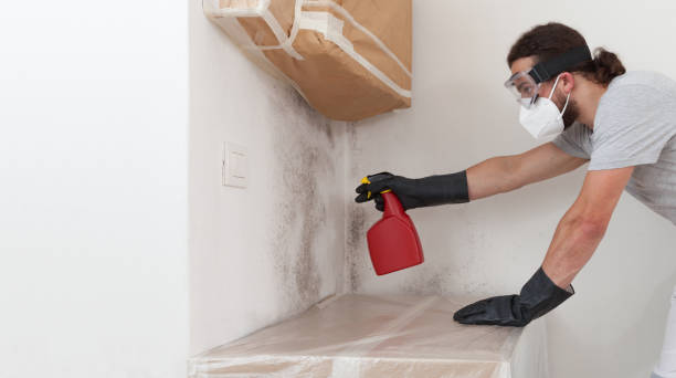 Professional Crawl Space Mold Removal technician working in Lancaster, TX