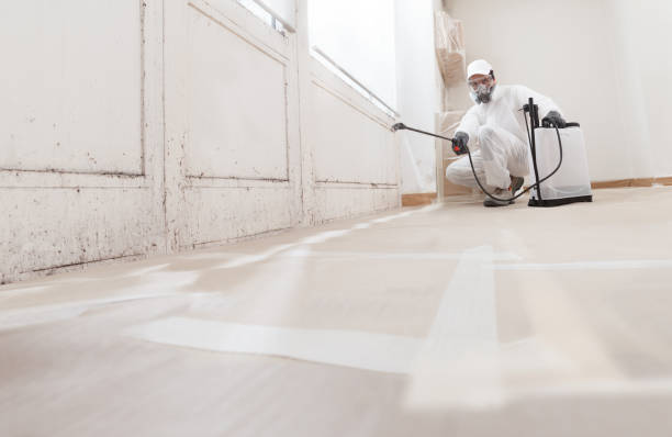24/7 Emergency Crawl Space Mold Removal experts in Lancaster, TX